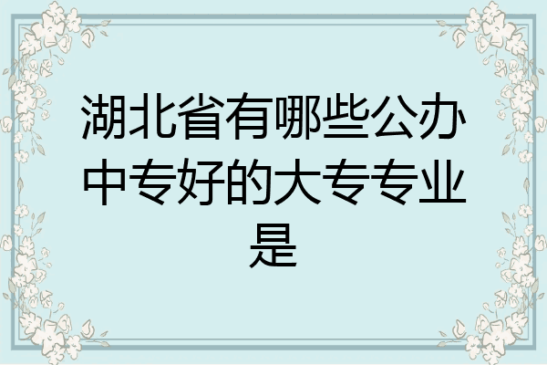 湖北省有哪些公办中专好的大专专业是