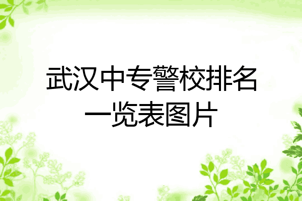 武汉中专警校排名一览表图片