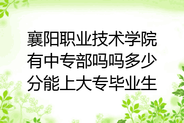 襄阳职业技术学院有中专部吗吗多少分能上大专毕业生