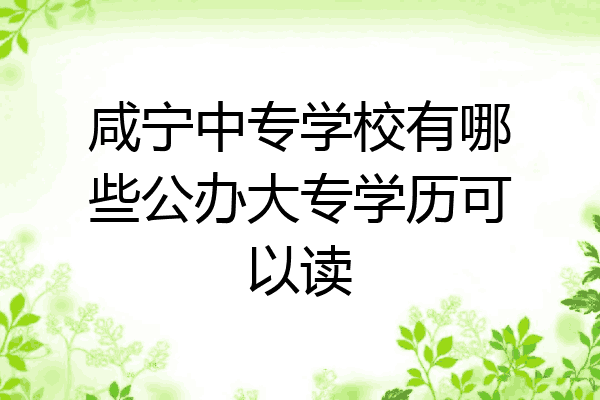 咸宁中专学校有哪些公办大专学历可以读