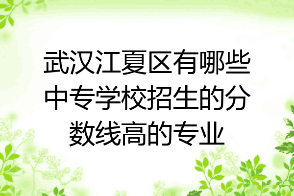 武汉江夏区有哪些中专学校招生的分数线高的专业