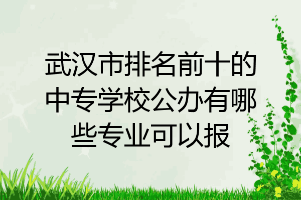 武汉市排名前十的中专学校公办有哪些专业可以报