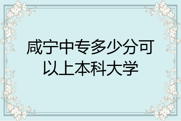咸宁中专多少分可以上本科大学