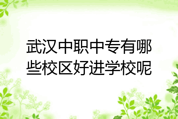 武汉中职中专有哪些校区好进学校呢