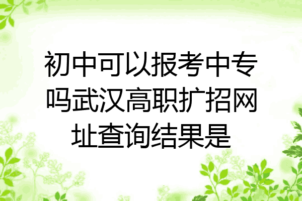 初中可以报考中专吗武汉高职扩招网址查询结果是