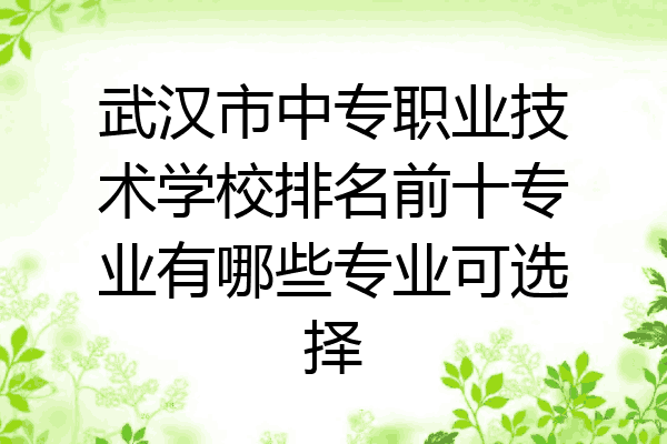 武汉市中专职业技术学校排名前十专业有哪些专业可选择