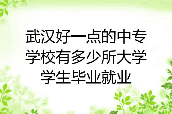 武汉好一点的中专学校有多少所大学学生毕业就业