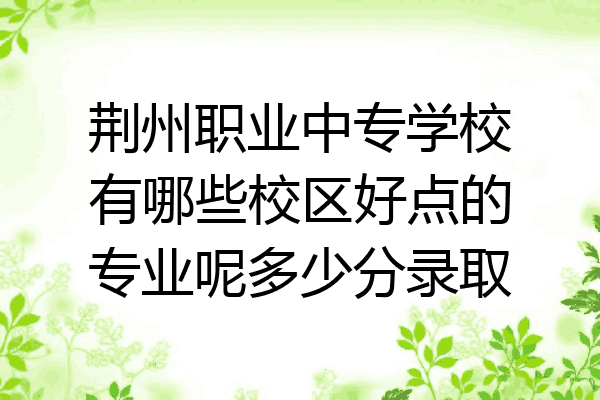 荆州职业中专学校有哪些校区好点的专业呢多少分录取