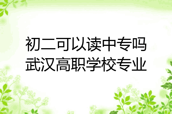 初二可以读中专吗武汉高职学校专业