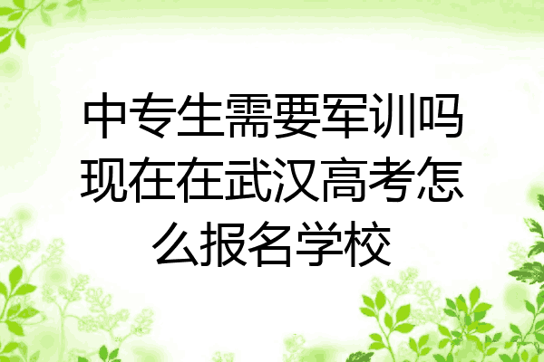 中专生需要军训吗现在在武汉高考怎么报名学校