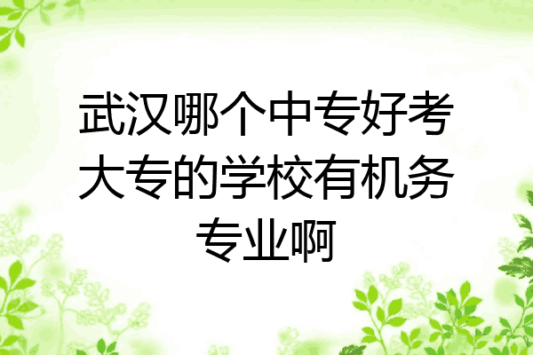 武汉哪个中专好考大专的学校有机务专业啊