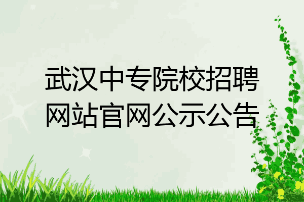 武汉中专院校招聘网站官网公示公告