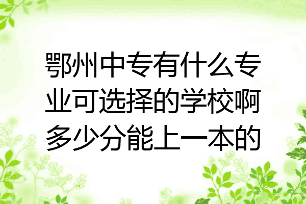 鄂州中专有什么专业可选择的学校啊多少分能上一本的