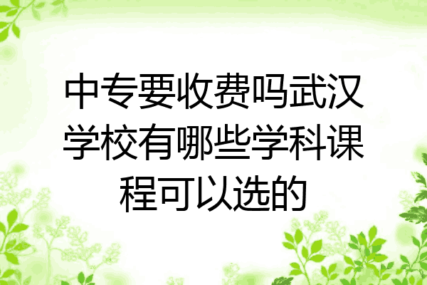 中专要收费吗武汉学校有哪些学科课程可以选的
