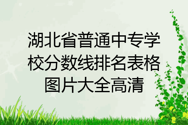 湖北省普通中专学校分数线排名表格图片大全高清