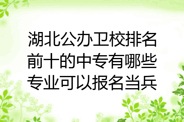 湖北公办卫校排名前十的中专有哪些专业可以报名当兵