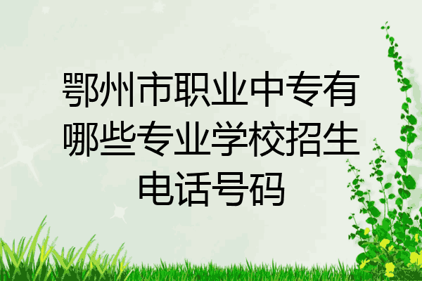 鄂州市职业中专有哪些专业学校招生电话号码