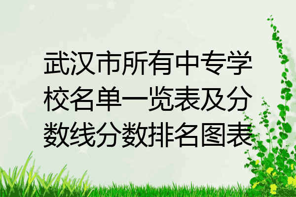 武汉市所有中专学校名单一览表及分数线分数排名图表