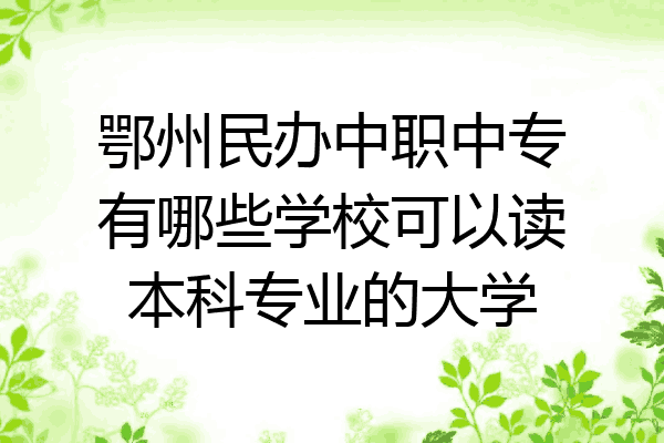 鄂州民办中职中专有哪些学校可以读本科专业的大学