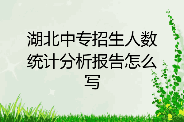 湖北中专招生人数统计分析报告怎么写