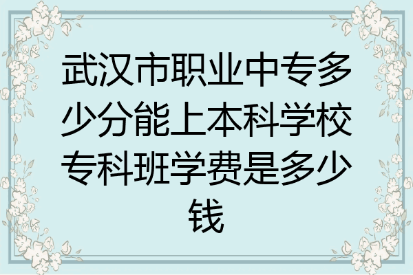 武汉市职业中专多少分能上本科学校专科班学费是多少钱