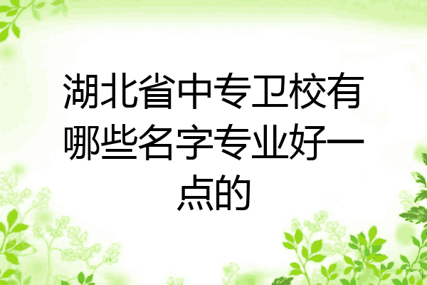 湖北省中专卫校有哪些名字专业好一点的