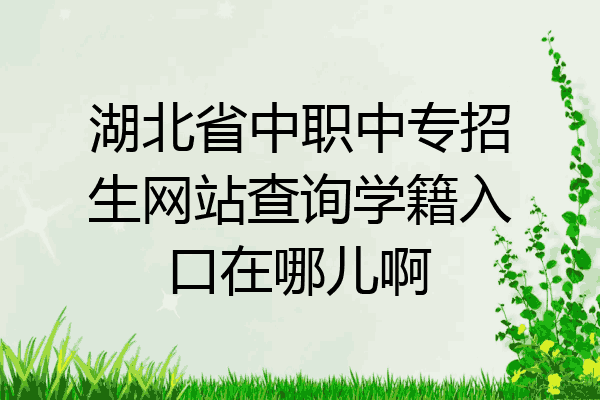 湖北省中职中专招生网站查询学籍入口在哪儿啊