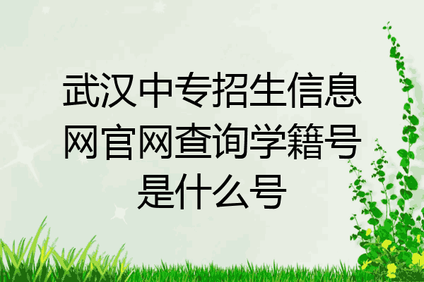 武汉中专招生信息网官网查询学籍号是什么号