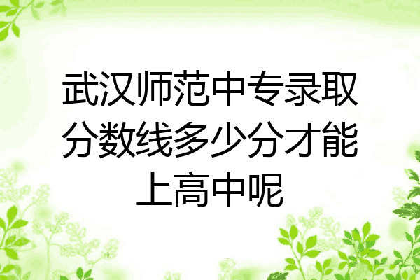武汉师范中专录取分数线多少分才能上高中呢