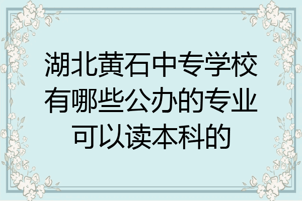 湖北黄石中专学校有哪些公办的专业可以读本科的