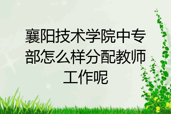 襄阳技术学院中专部怎么样分配教师工作呢