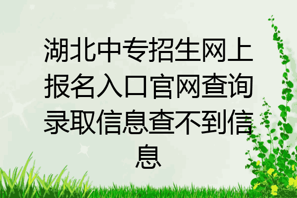 湖北中专招生网上报名入口官网查询录取信息查不到信息
