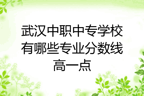 武汉中职中专学校有哪些专业分数线高一点