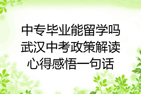 中专毕业能留学吗武汉中考政策解读心得感悟一句话