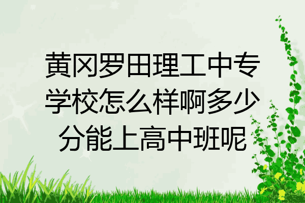 黄冈罗田理工中专学校怎么样啊多少分能上高中班呢