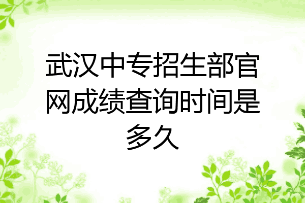 武汉中专招生部官网成绩查询时间是多久