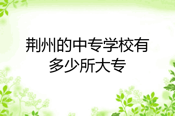 荆州的中专学校有多少所大专