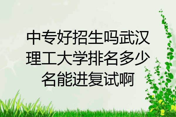 中专好招生吗武汉理工大学排名多少名能进复试啊