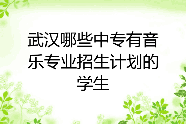 武汉哪些中专有音乐专业招生计划的学生