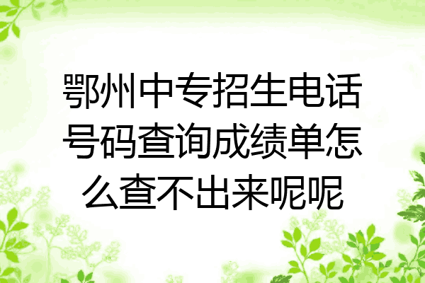 鄂州中专招生电话号码查询成绩单怎么查不出来呢呢