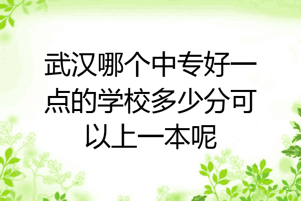 武汉哪个中专好一点的学校多少分可以上一本呢