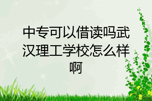 中专可以借读吗武汉理工学校怎么样啊