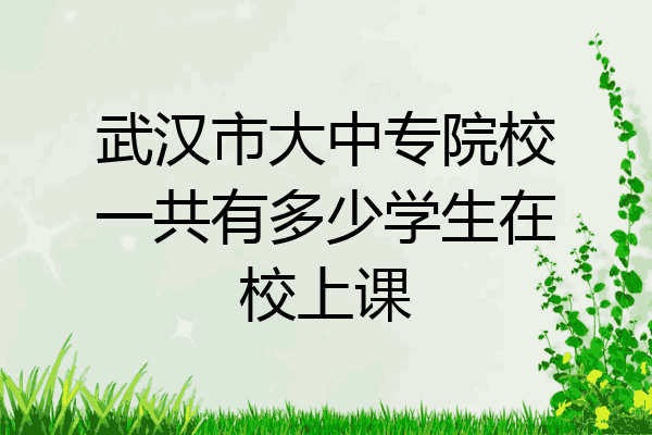 武汉市大中专院校一共有多少学生在校上课