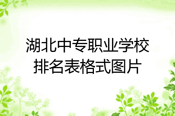 湖北中专职业学校排名表格式图片