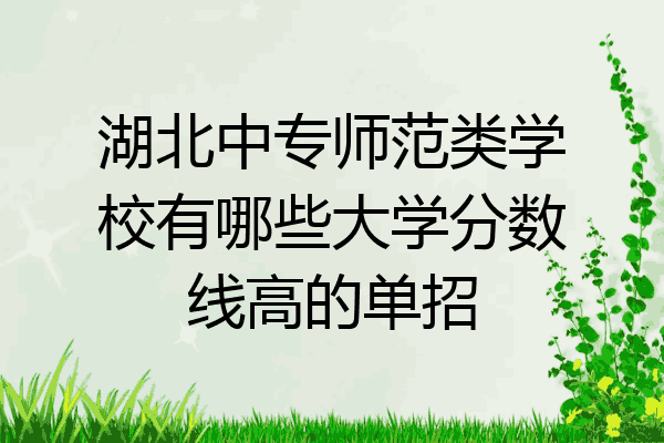 湖北中专师范类学校有哪些大学分数线高的单招