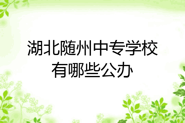 湖北随州中专学校有哪些公办