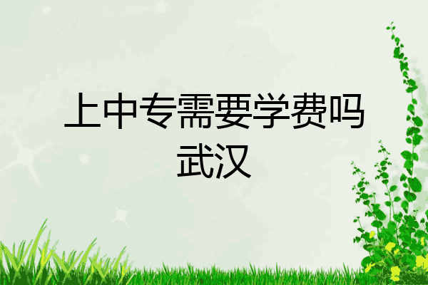 上中专需要学费吗武汉