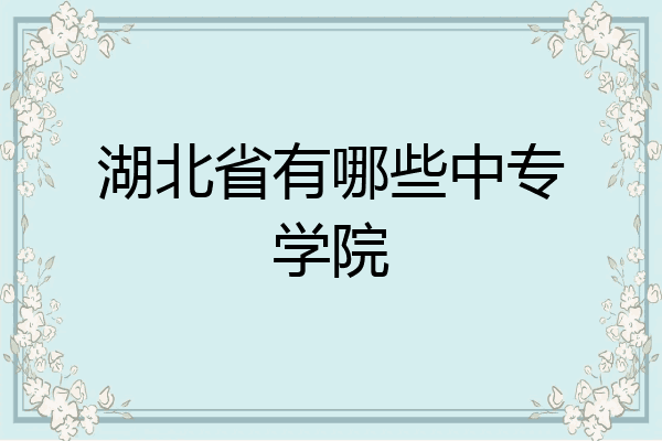 湖北省有哪些中专学院