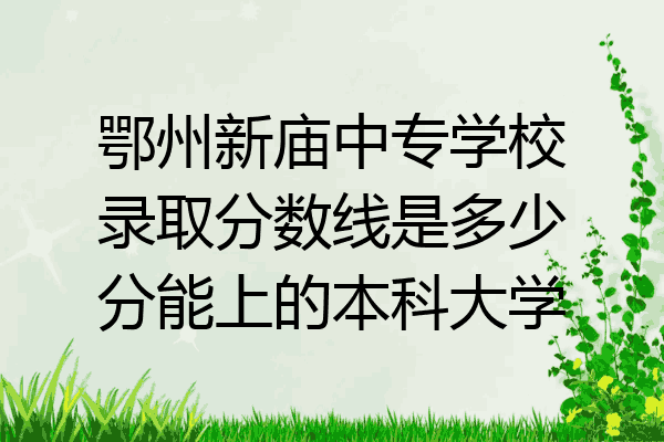 鄂州新庙中专学校录取分数线是多少分能上的本科大学