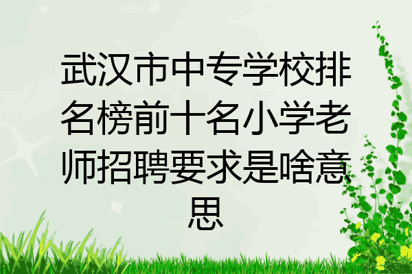 武汉市中专学校排名榜前十名小学老师招聘要求是啥意思